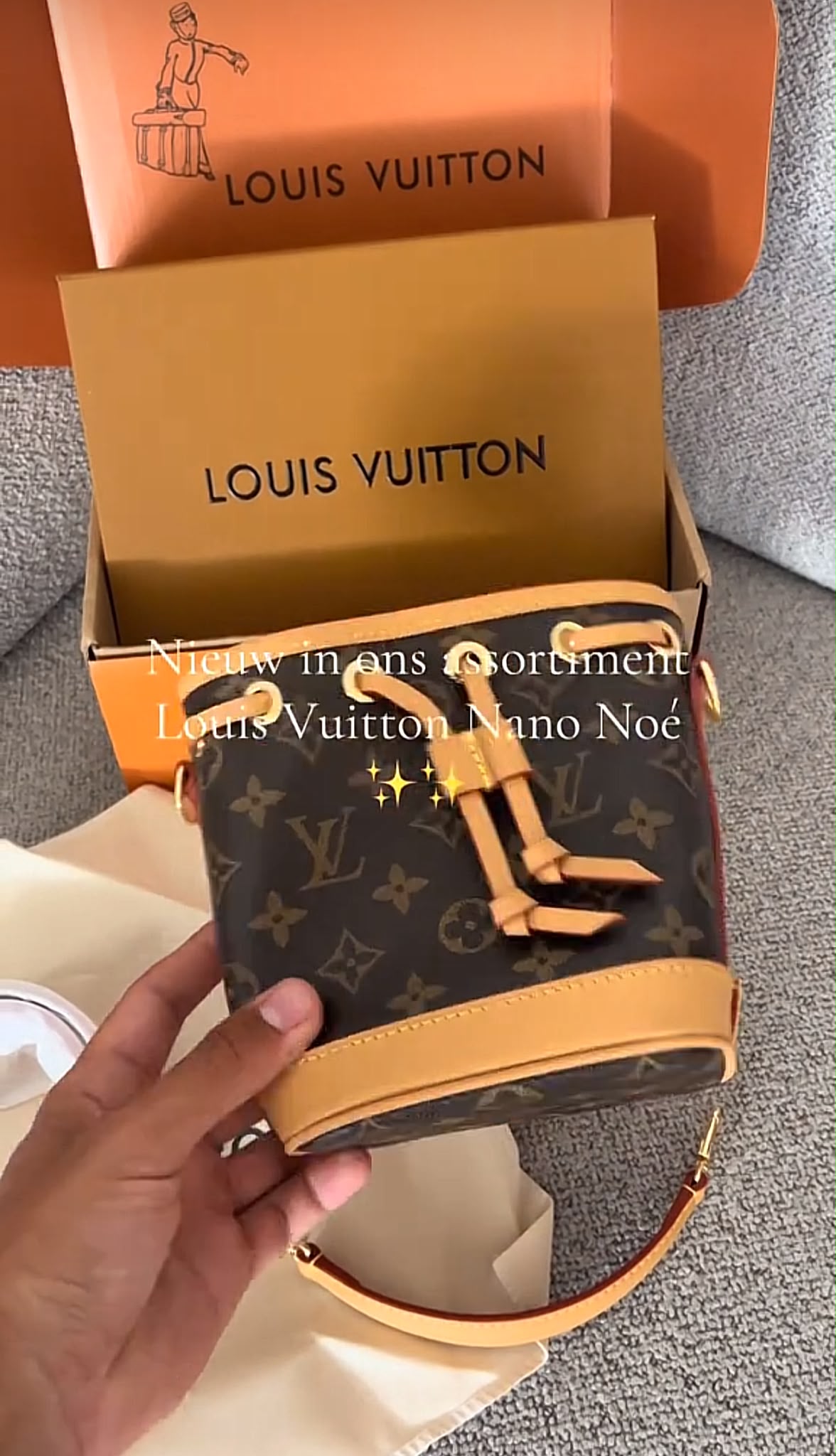 Louis Vuitton Nano Noe – Brown Monogramdesign